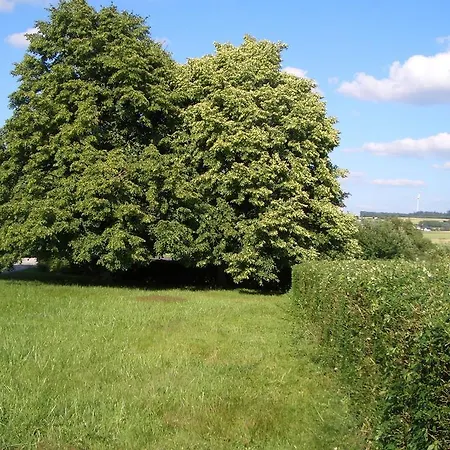 Διαμέρισμα Lindenhof Hahn *