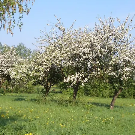 Apartment Lindenhof Hahn Blankenrath