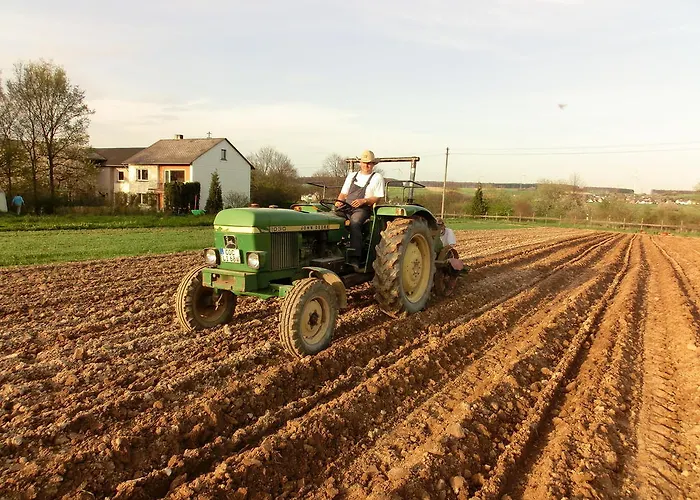 Apartment Lindenhof Hahn Blankenrath