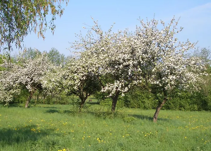 Apartment Lindenhof Hahn Blankenrath